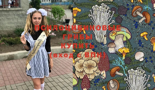 спайс Аркадак