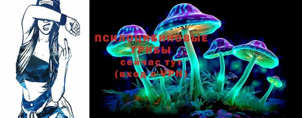 эйфоретик Арсеньев