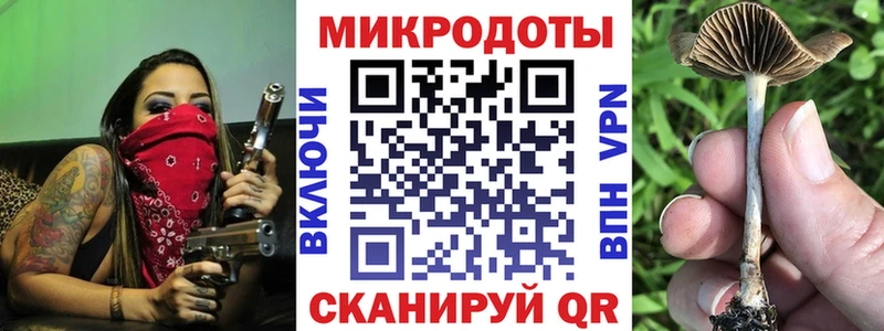 Псилоцибиновые грибы мухоморы Бабушкин
